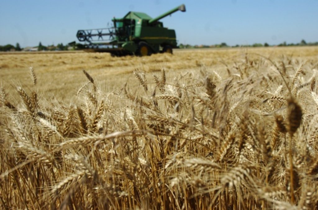 Farm Ministry: Hungary Welcomes EU Legislation On GM Crops post's picture