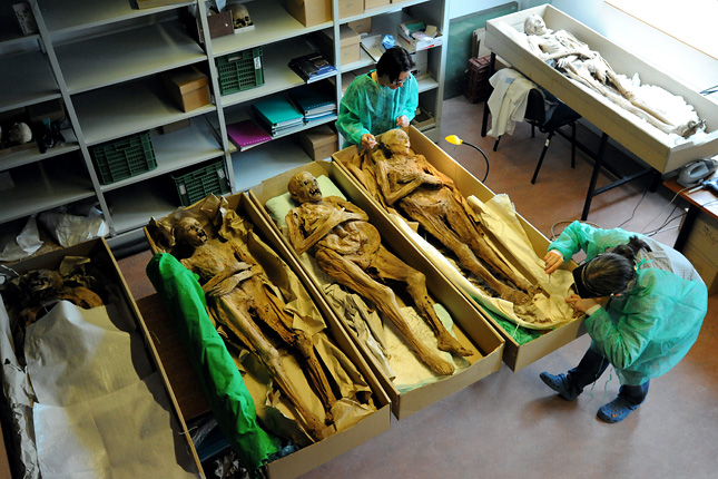 Mummies Of Vác Help Researchers Gain New Information On Tubercolosis post's picture