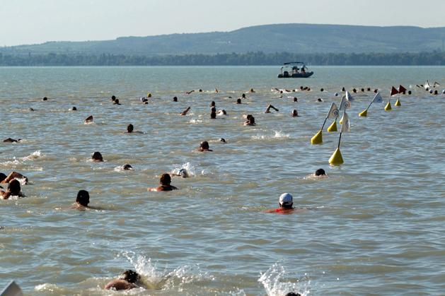 Over 8000 Swim Across Lake Balaton In Annual Swimming Challenge post's picture
