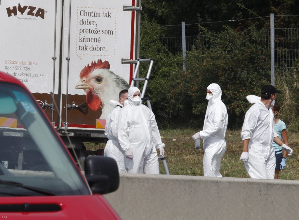 Four Get Life Sentence in Austrian Migrant Lorry Tragedy Case post's picture