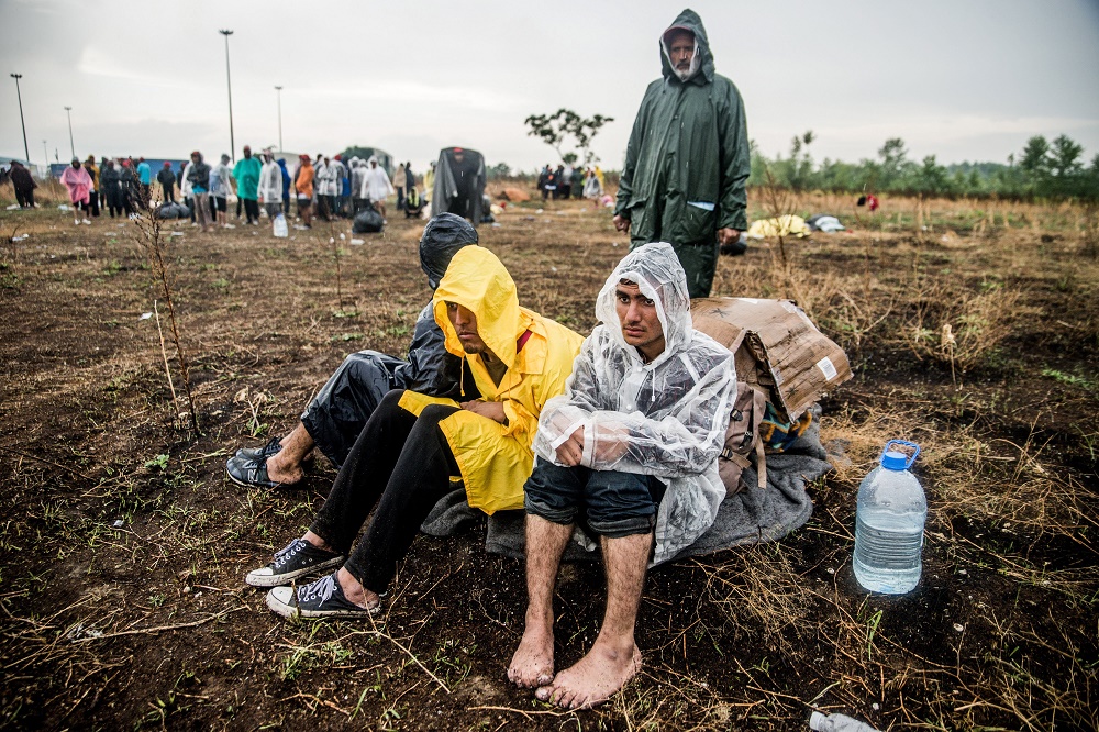 Demanding Entrance To Schengen Area, Desperate Migrants Continue Hunger Strike At Serbia-Hungary Border post's picture