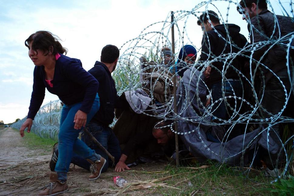 CoE Commissioner For Human Rights Slams Hungary’s “Contemptuous, Populist” Migrant Policies post's picture