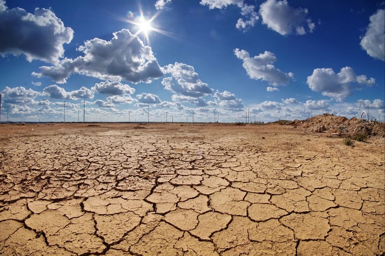 Survey: Half of all Hungarians View Climate Change as an Immediate Threat post's picture
