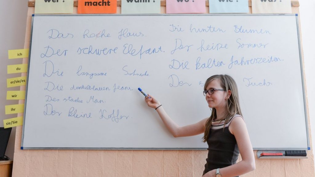 Education: Debate Heats Up Over Hungarian Students’ Foreign Language Skills post's picture