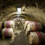 New TOP 100 Hungarian Wine List Serves as Guide for Wine Lovers