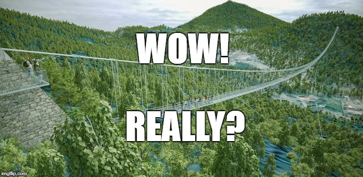 Wow! Really? A Hungarian Town Wants to Build the World’s Longest Pedestrian Bridge! post's picture