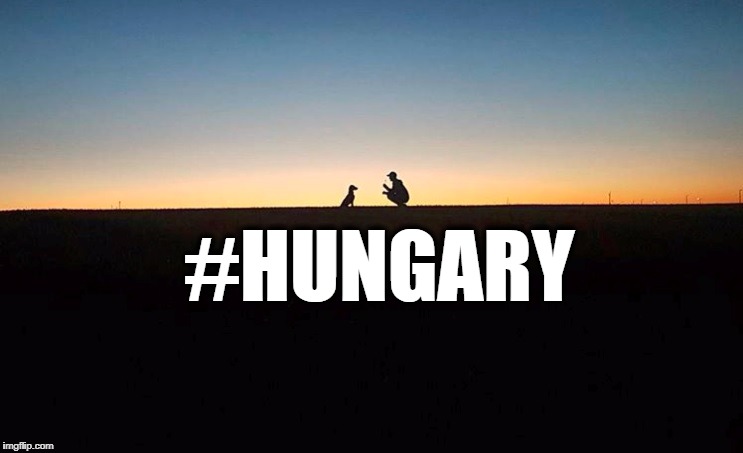 #Hungary On Instagram – Photos Of The Week post's picture