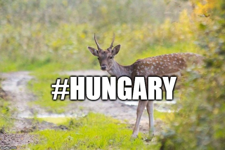 #Hungary On Instagram – Photos Of The week post's picture