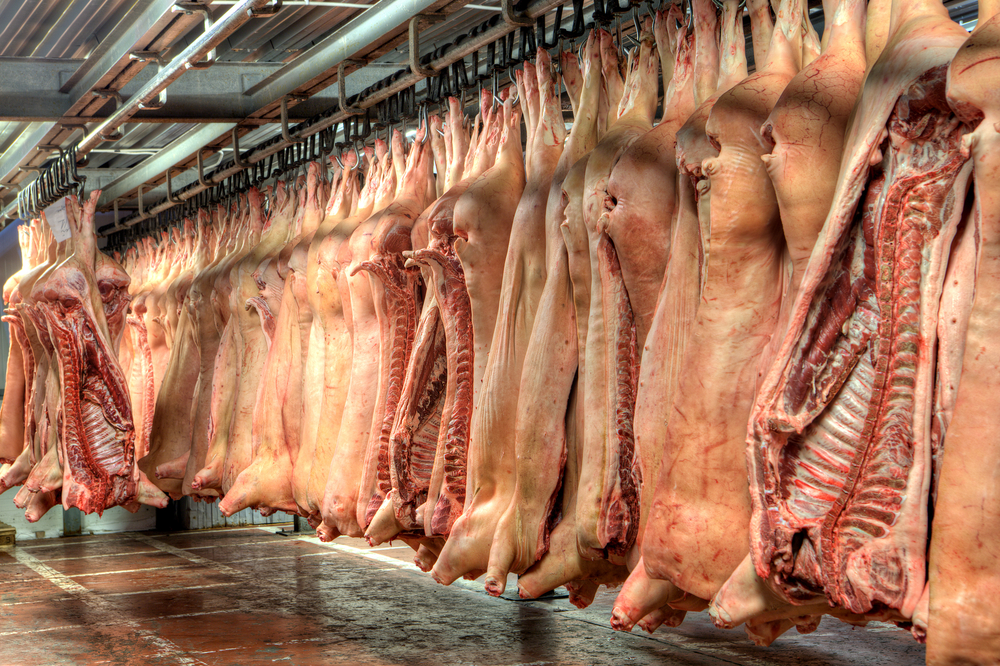 UPDATE: 7 Countries Move to Ban Hungarian Pork Due to Swine Fever Outbreak