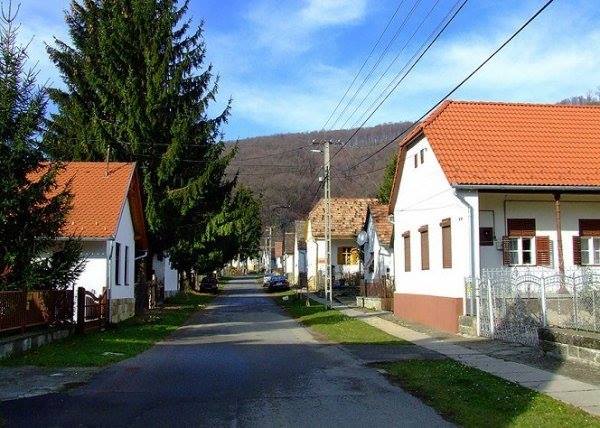 The Future of Hungarian Villages, Prospects of Eco Villages post's picture