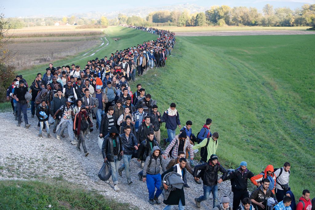 Council of Europe Accused of Supporting Illegal Migration post's picture