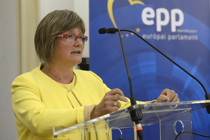 Fidesz MEP Urges Stronger EC Support for Protection of Ethnic Communities post's picture