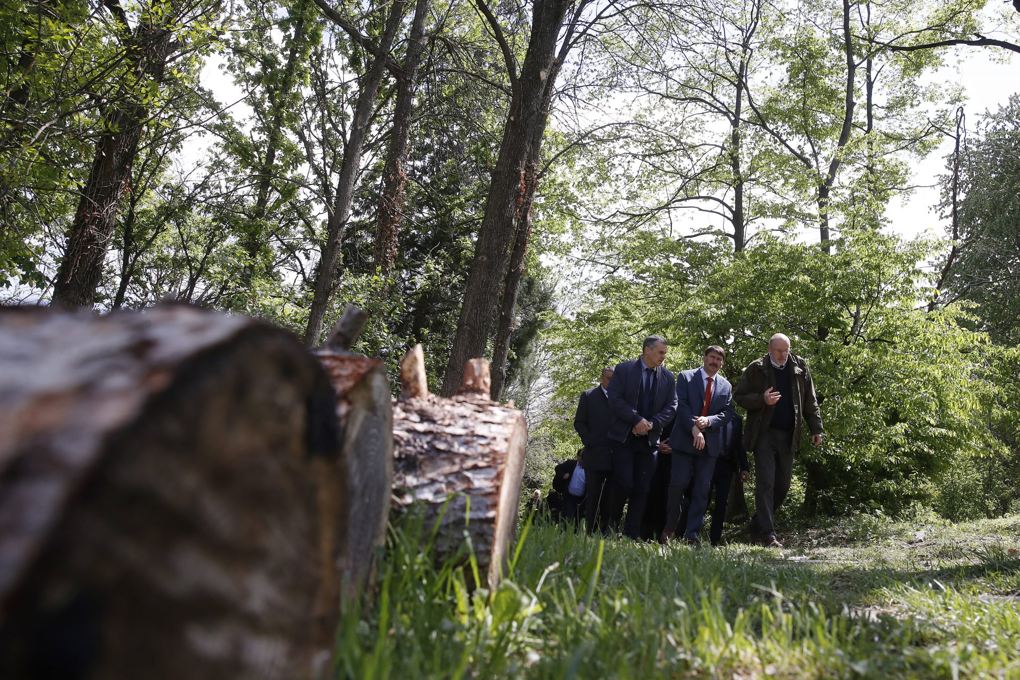 President Áder: Hungary Doubles Forests in Past 100 Years