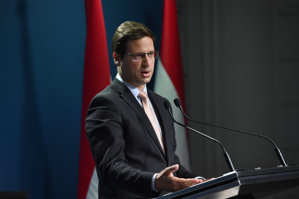 PMO Head: Diaspora Hungarians Assets to Motherland post's picture