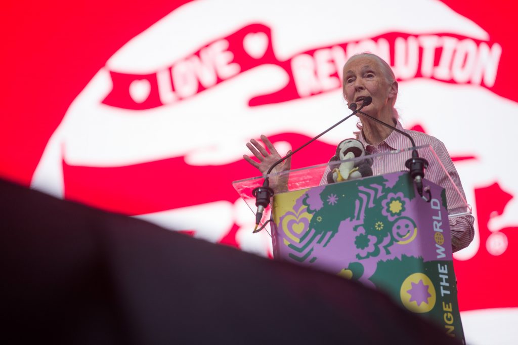 Sziget: Jane Goodall Inspires Festival-Goers to Change with Impressive Speech post's picture