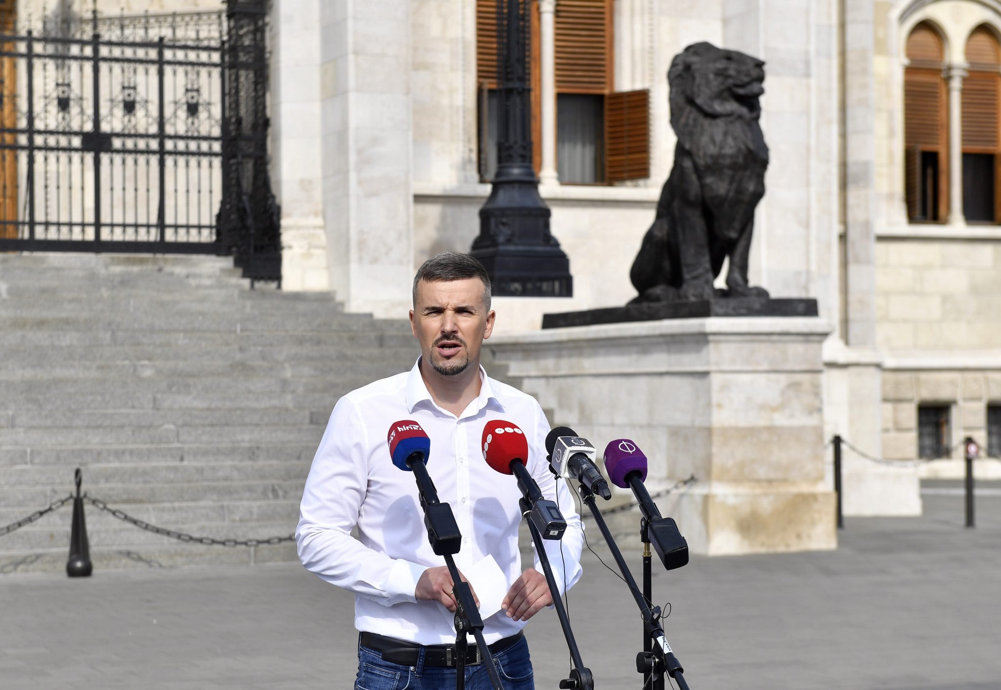 Jobbik Calls for Foundation of New State to Commemorate August 20