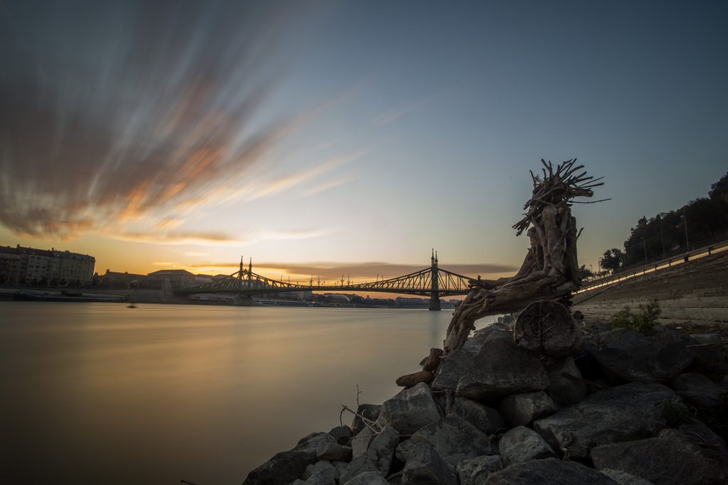 Guerrilla Statue Made of Driftwood Appears in Budapest post's picture