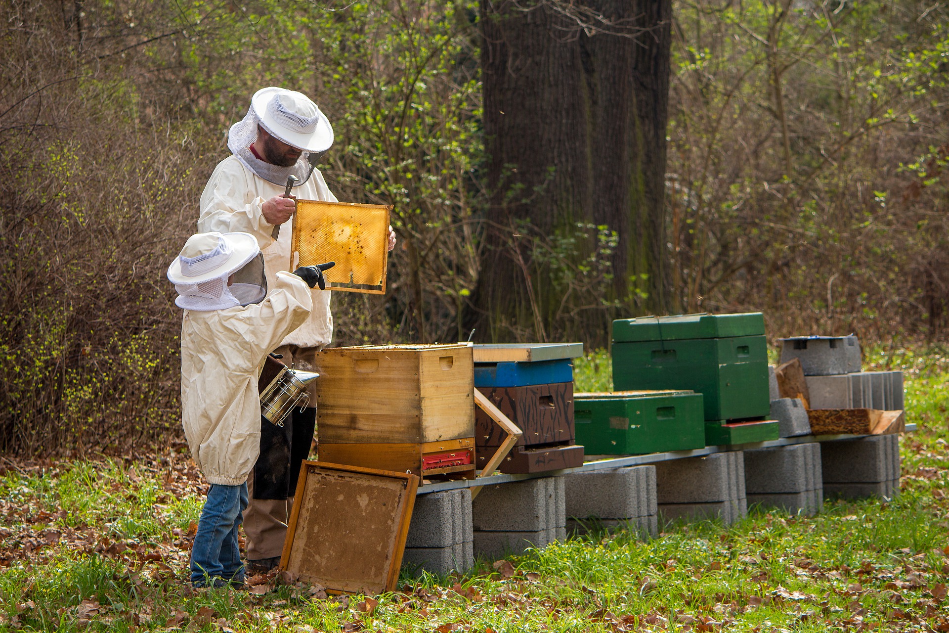 Counterfeit Honey Found in Hungarian Shops