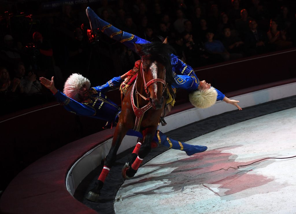 14th Intl Circus Festival to Feature a Hundred Artists from Four Continents post's picture