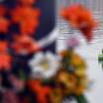 South Korean Ambassador: Memorial to Victims of Danube Boat Collision ‘Important Symbol’