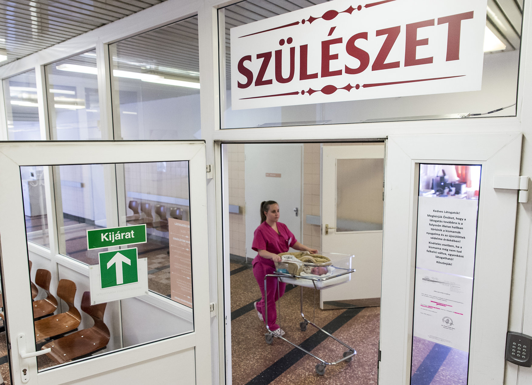 Just like the Western world, Hungary faces a shortage of nurses