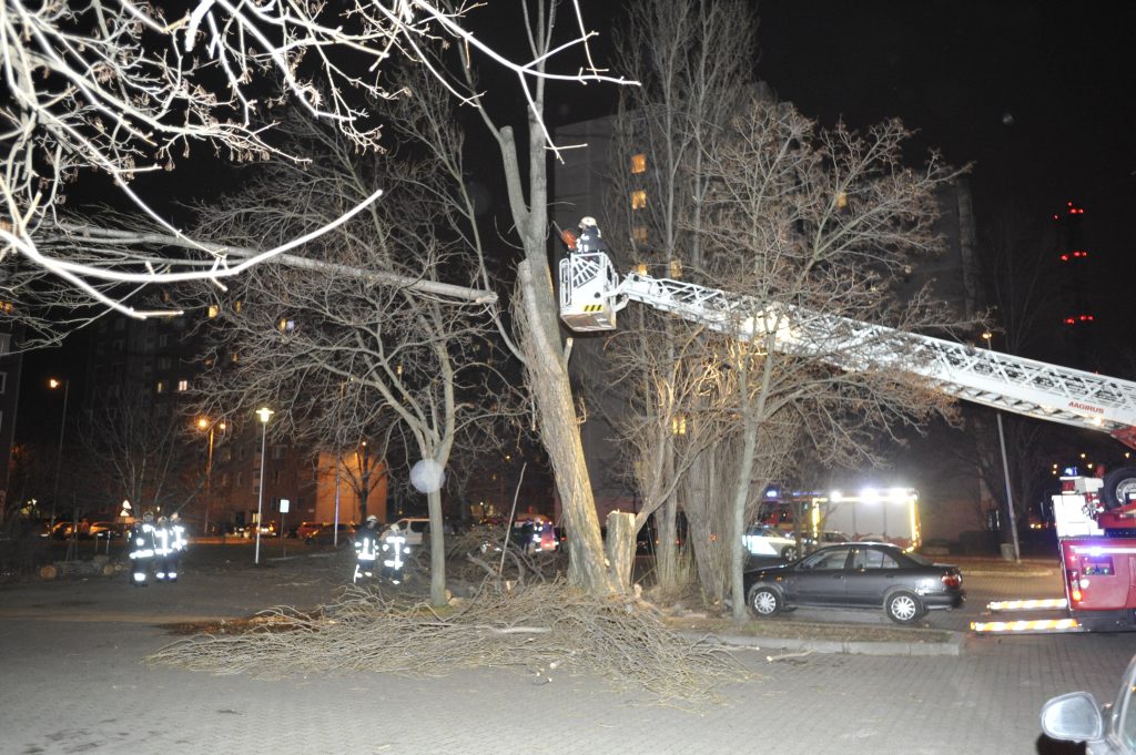 Wind Speed Record in Budapest, Storm Uproots Trees, Damages Power Lines across Hungary post's picture