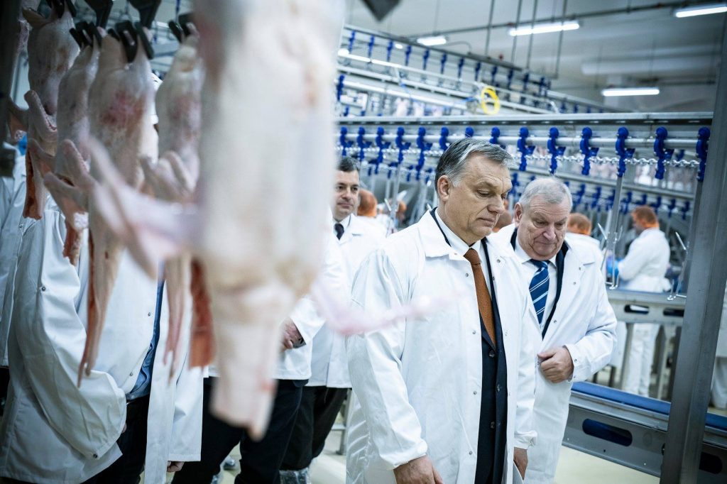 PM Orbán Posts Video Urging Hungarians to Choose Domestic Products post's picture