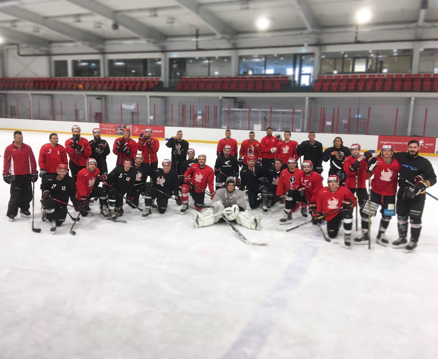 Majority of Dunaújváros Hockey Team Infected with Coronavirus