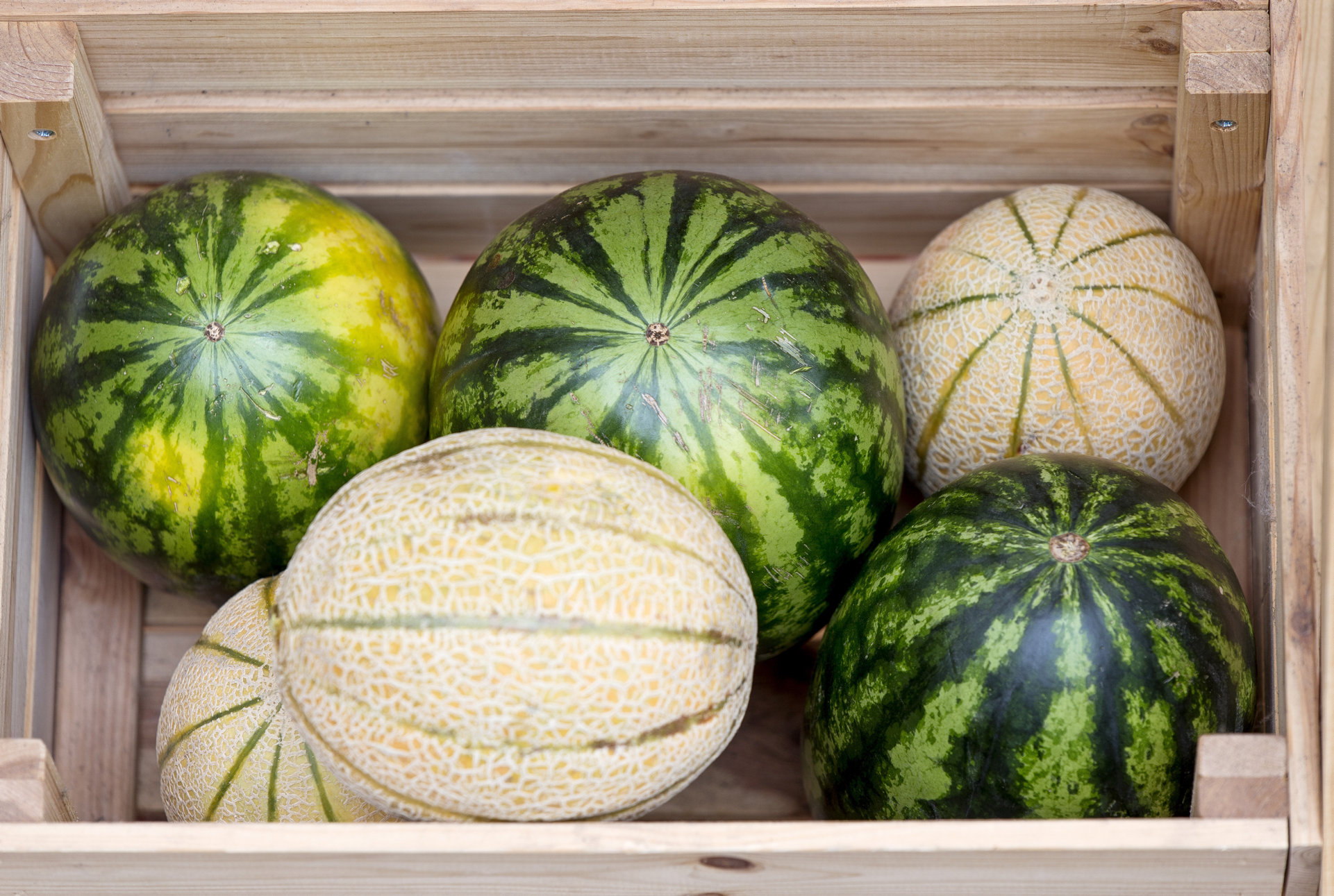 Supermarkets’ Unjustified Price-Cuts of Melons Could Destroy Domestic Producers