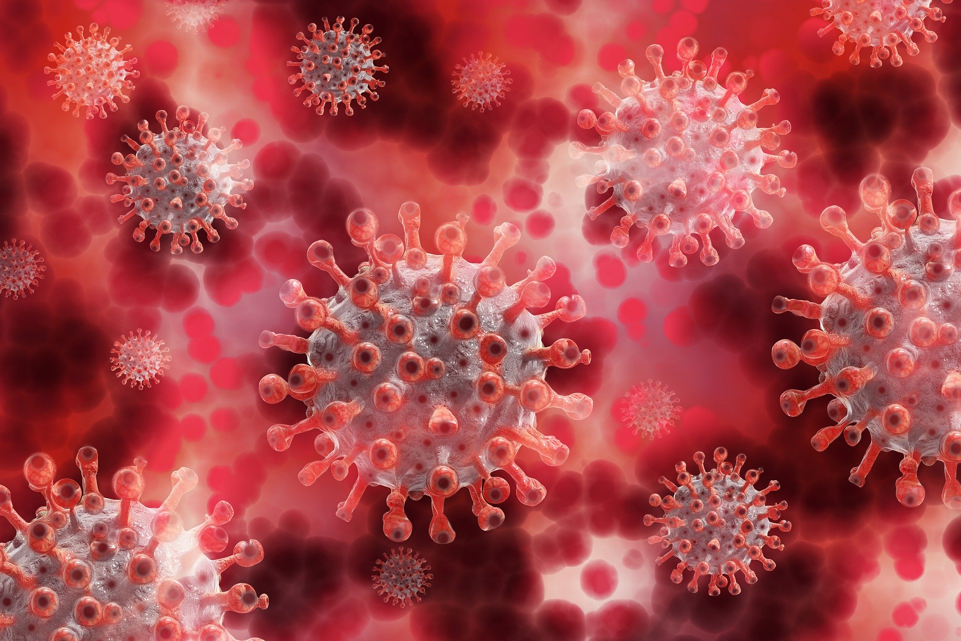 Hungarian Research Group: Coronavirus Extremely Flexible and Resilient, Able to Self-heal