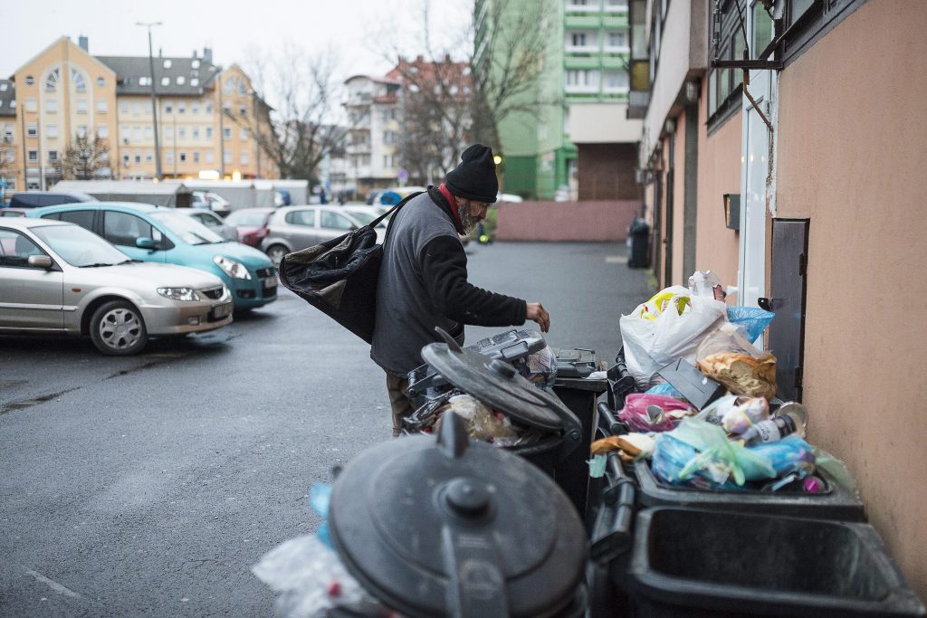 Over 300,000 Tonnes of Food Wasted in Hungary Annually post's picture