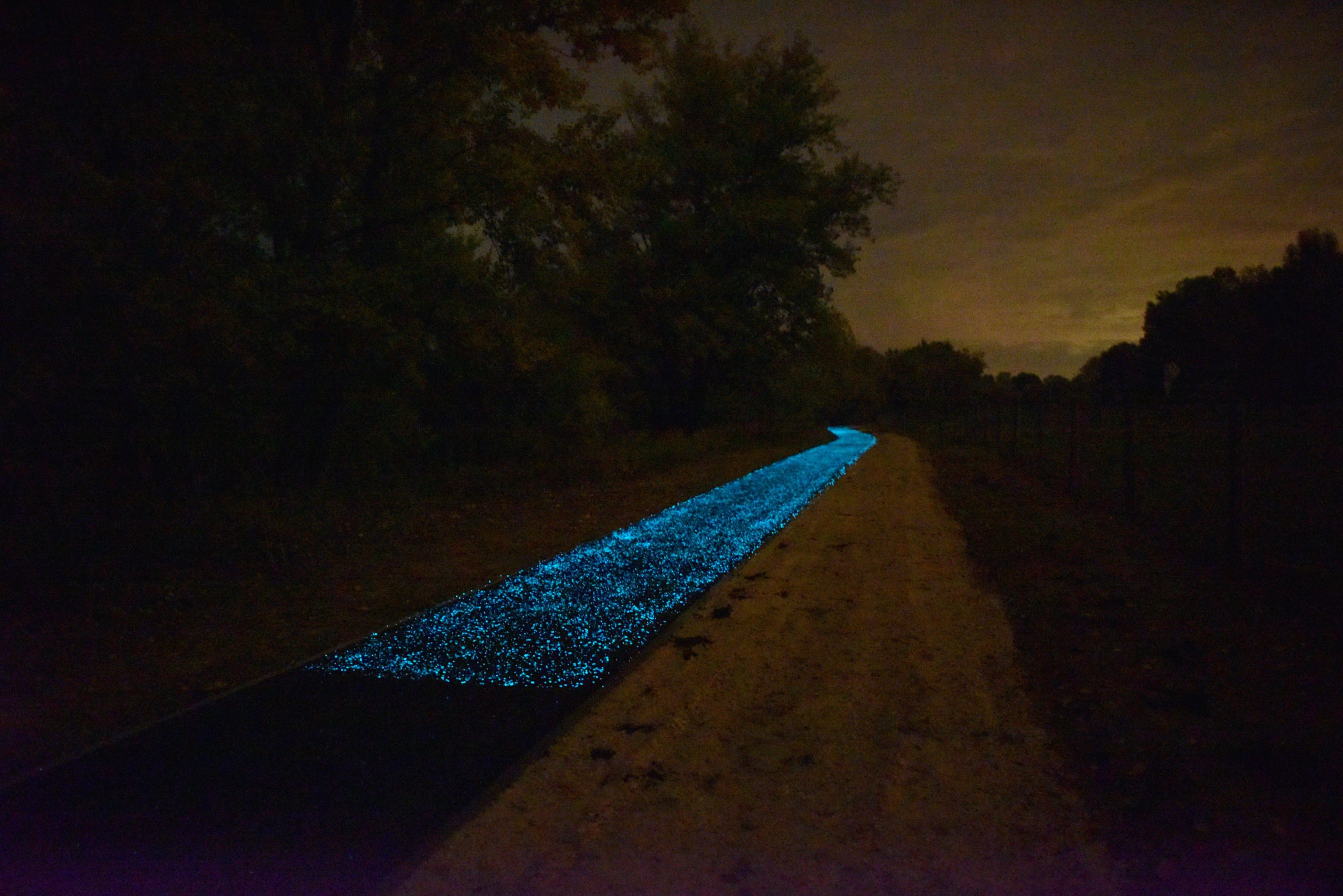 New Stunningly Beautiful Glowing Bike Lane Built Near Esztergom