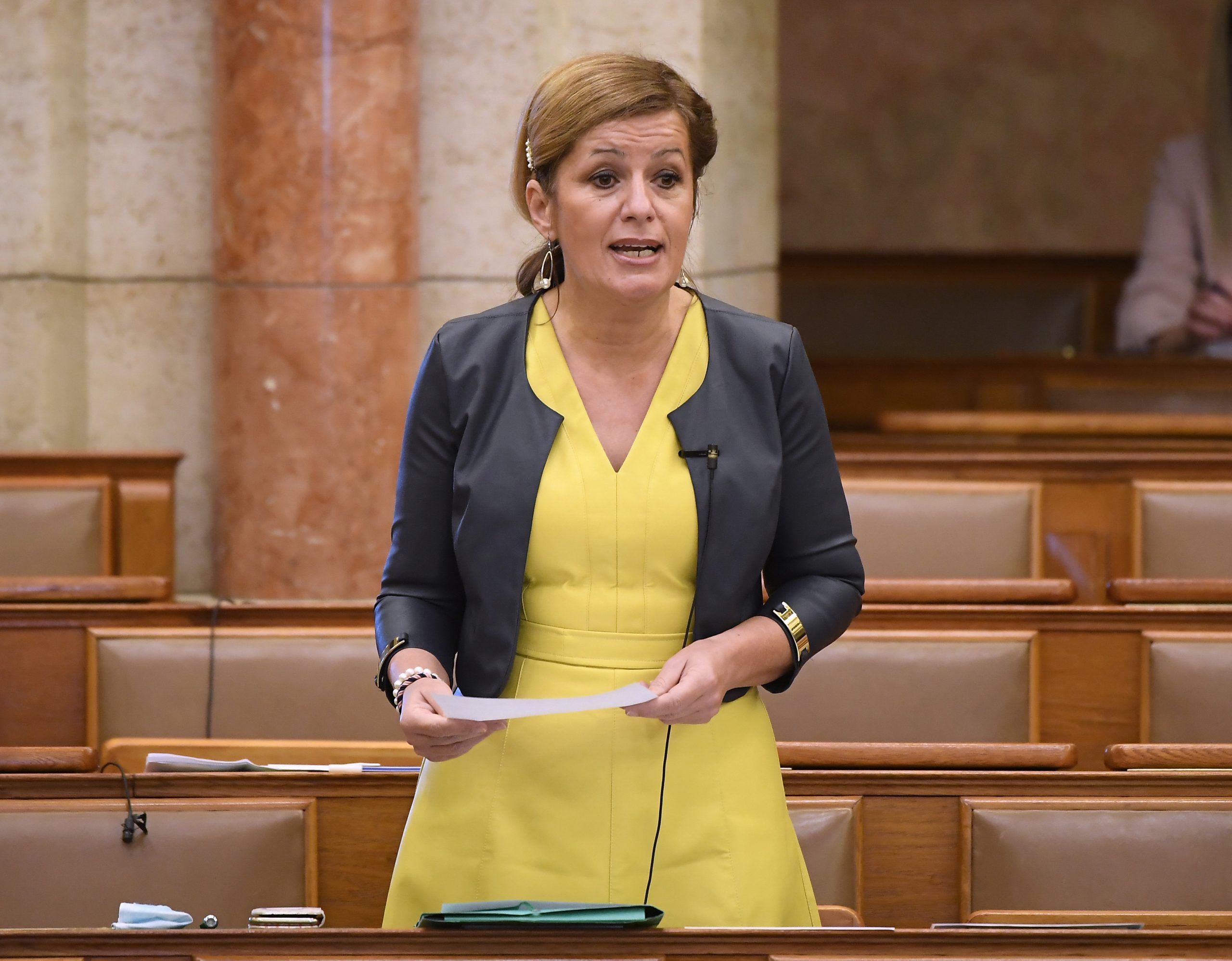 MSZP Calls for Stand-Alone Health Ministry, Making Health Care Priority