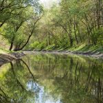 Call for Environmental Awareness on Day of Hungarian Nature