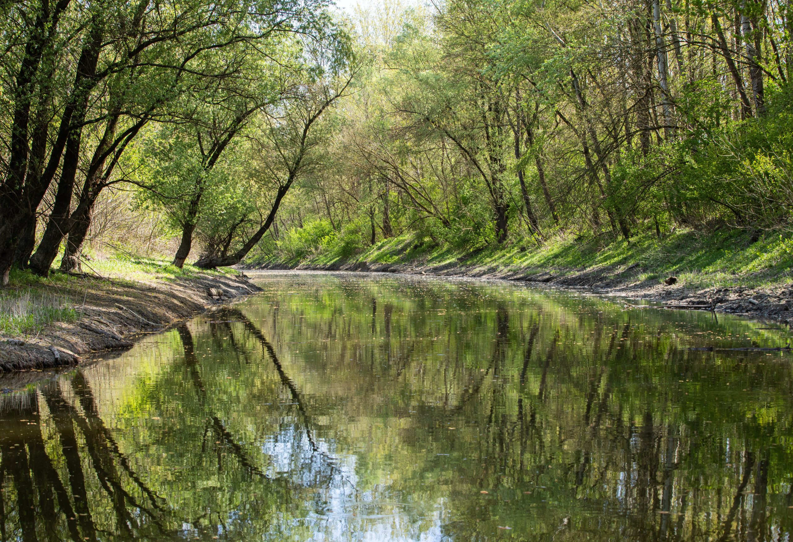 Call for Environmental Awareness on Day of Hungarian Nature