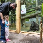 Nyíregyháza Zoo Named Best Zoo in Europe for Third Time in Its Category
