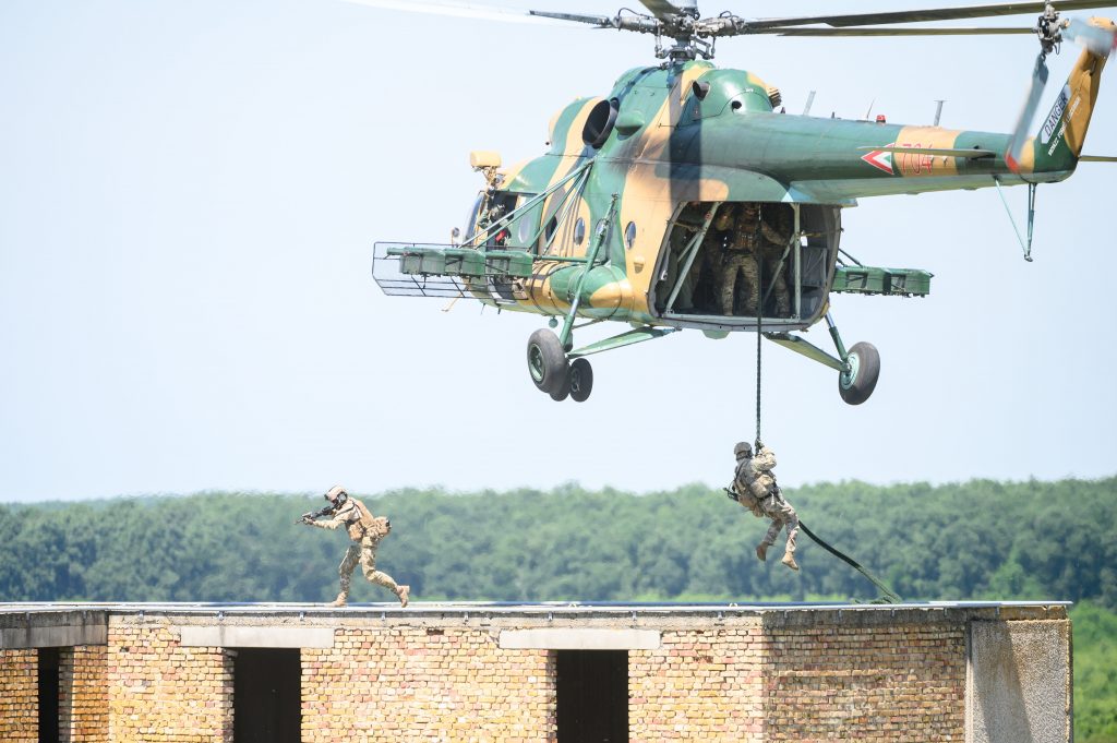 Black Swan Military Exercise Starts in Hungary post's picture