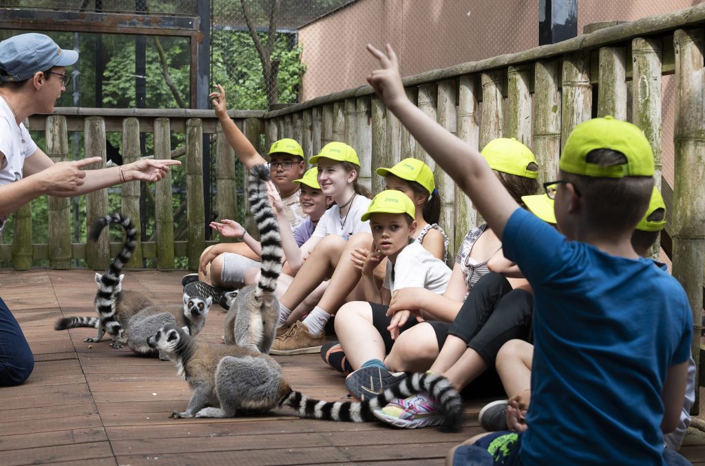 Budapest Zoo to Become a New Educational Hub of the Capital