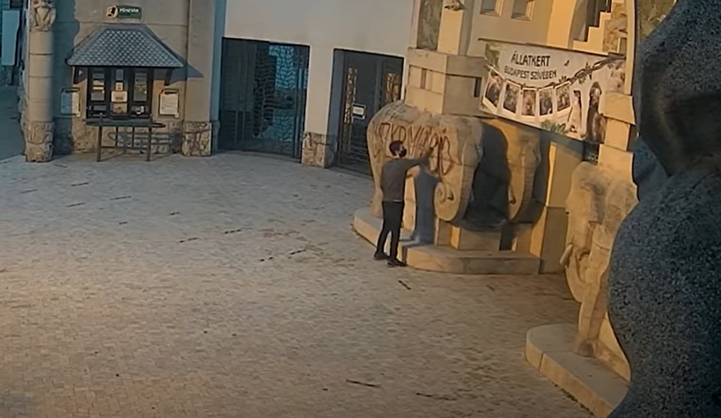 Police Search for Vandal Who Scrawled ‘Discrimination’ on Stone Elephant at Budapest Zoo post's picture