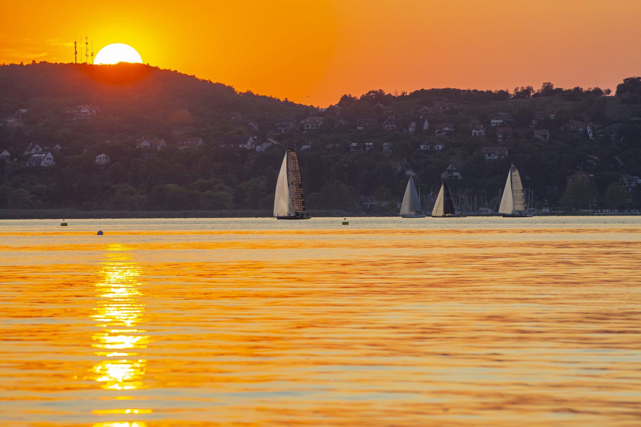 Blue Ribbon (Kékszalag) Regatta Windy Weather Forecast Hungary Today