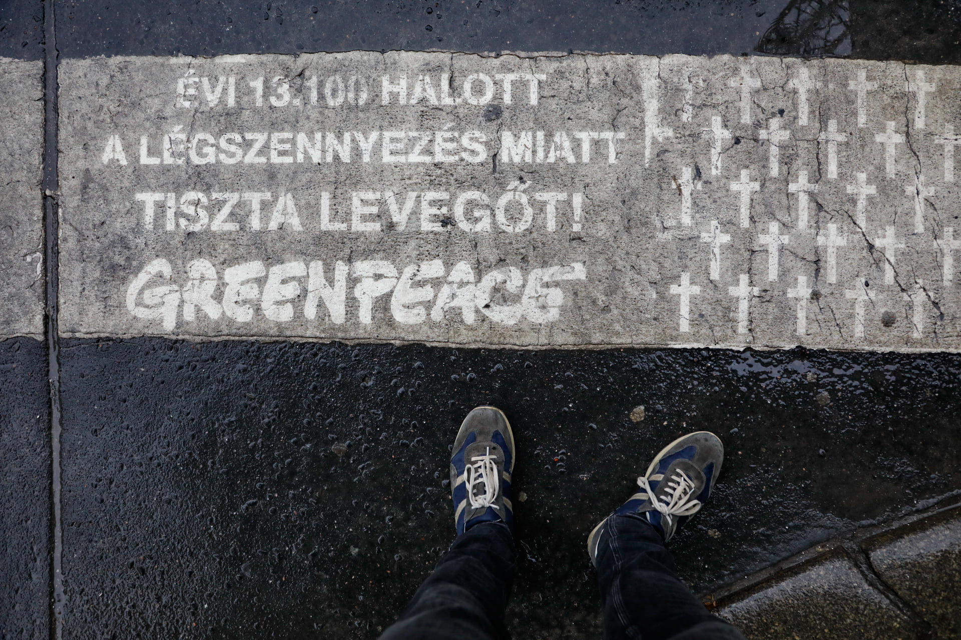 Greenpeace Remembers Hungarian Victims of Air Pollution