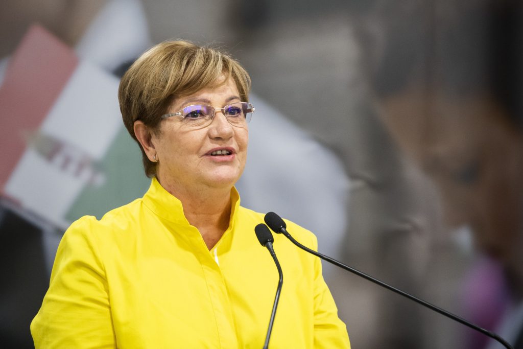 Minority Protection European Issue, says PM Commissioner Szili post's picture