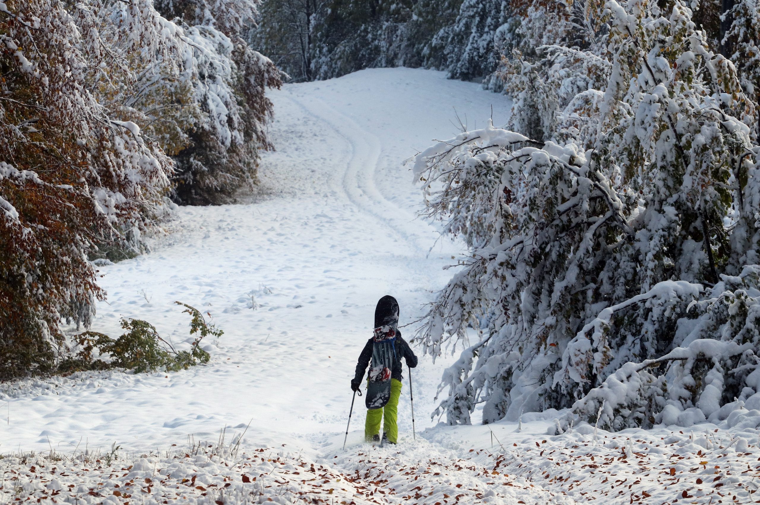 First Snow Arrives in Hungary