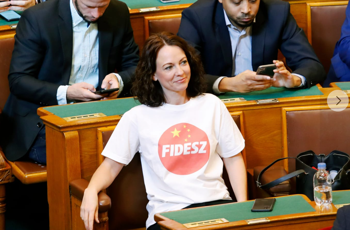 Ruling Parties Approve Tímea Szabó's Giant Fine for Mixing China Flag with Fidesz Logo