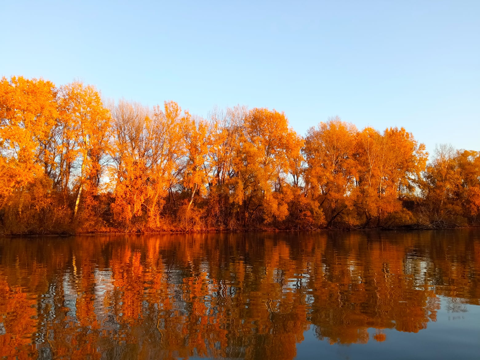 Water Level of Lake Tisza Lowered for Wintertime - Photos!