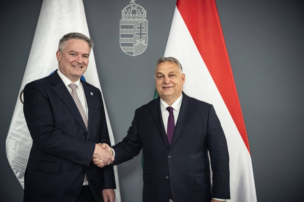 PM Orbán in Talks with OECD Chief Cormann post's picture