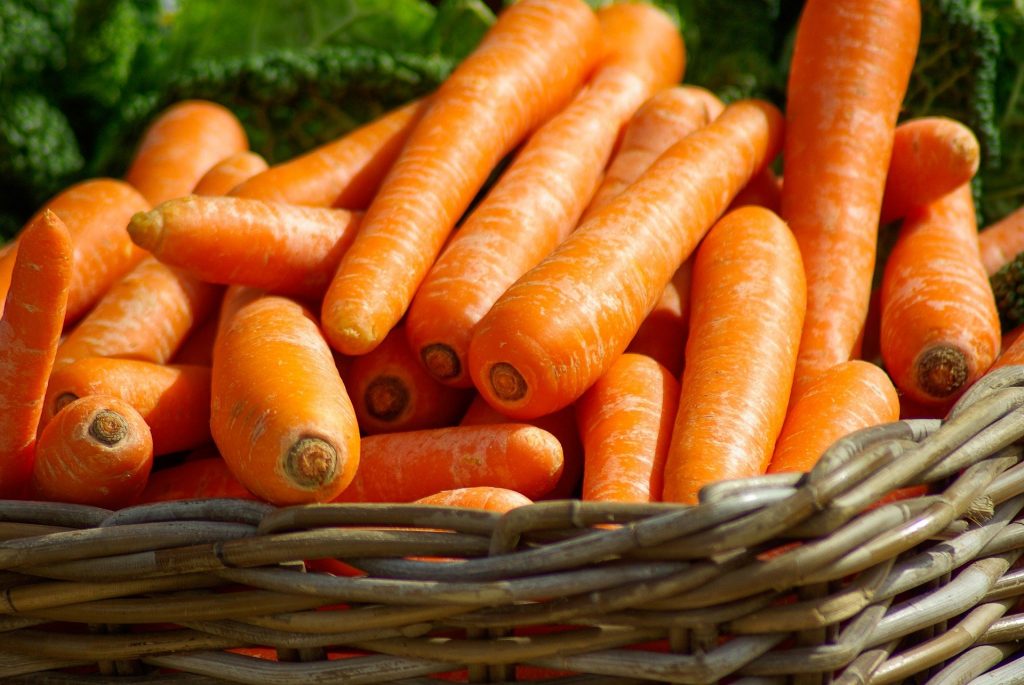 Carrots Grown in Northwestern Hungary Granted Geographical Indication post's picture
