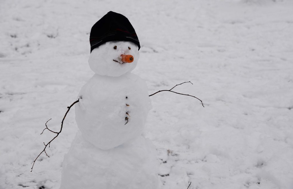 Hungary’s Great Historic Snowman Album post's picture