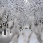 20 Cm of Snow in Sopron Mountains, More Icy Days Expected