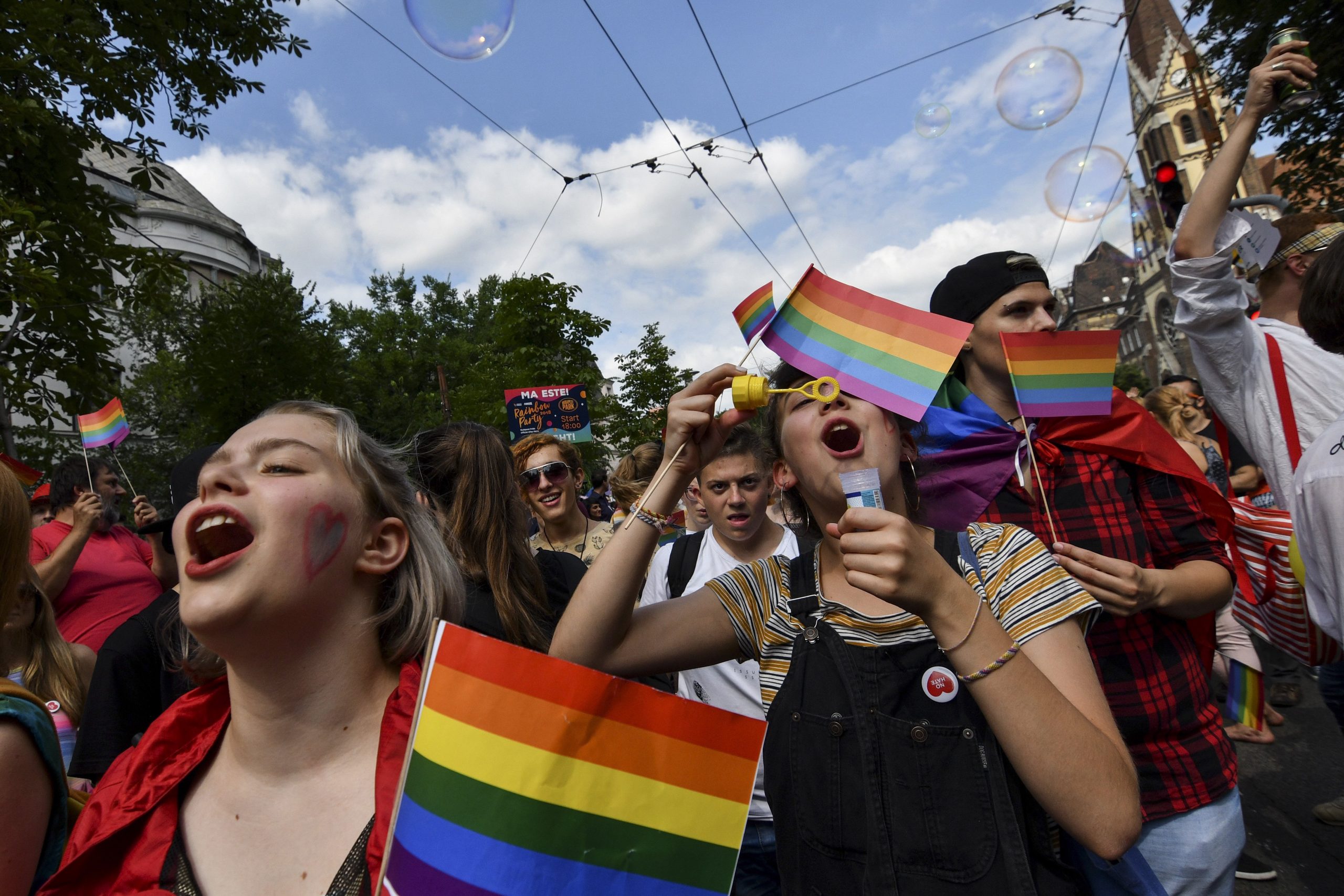 Mental Health Professionals Protest Fidesz's 